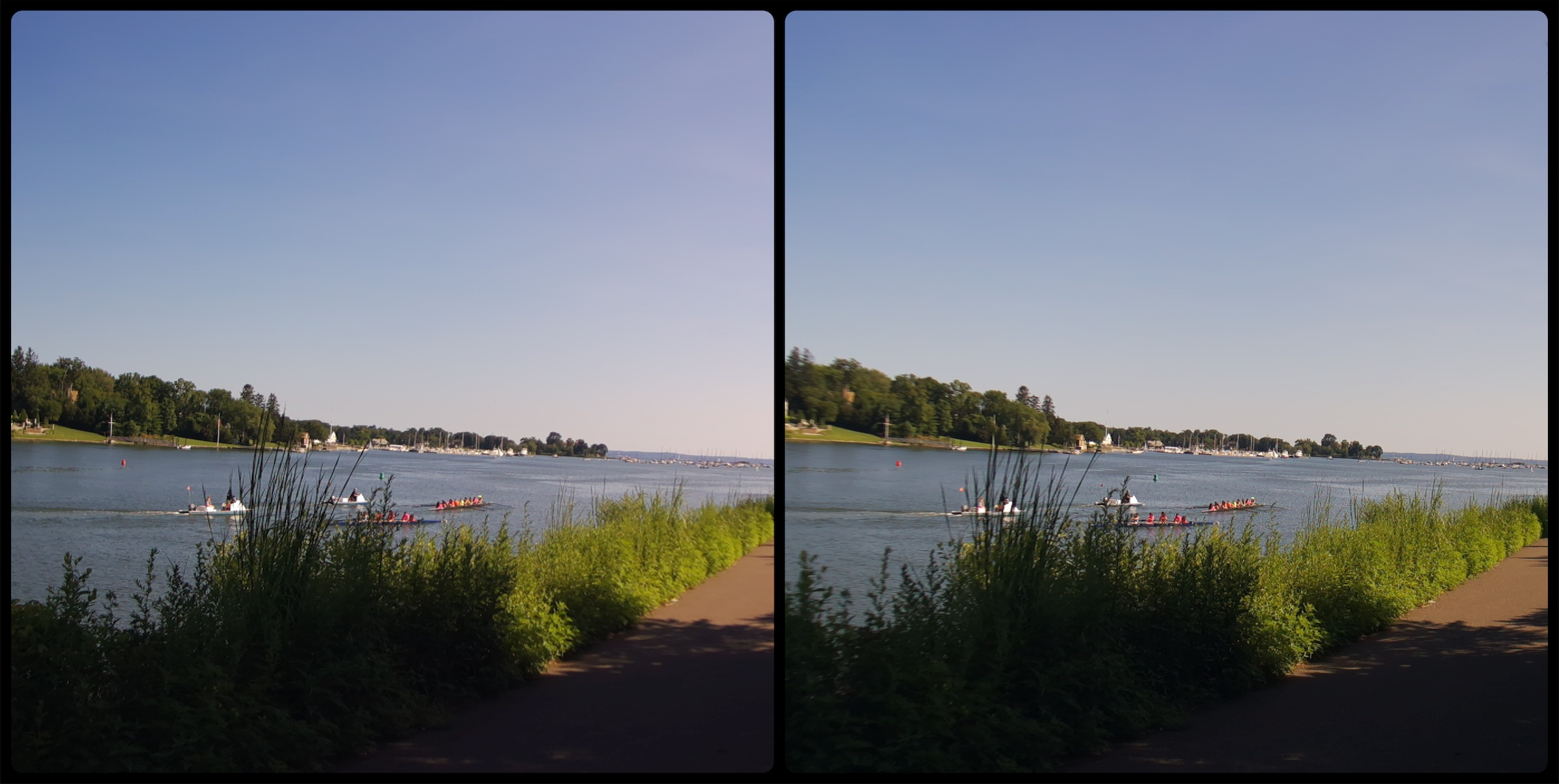 Cos Cob Park, stereo pair